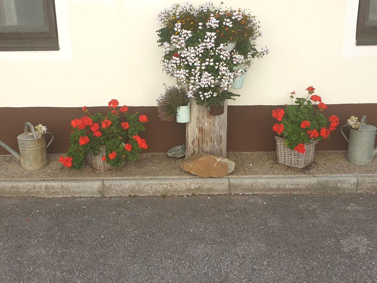 Vila Familie Stoier Reichenau Exteriér fotografie