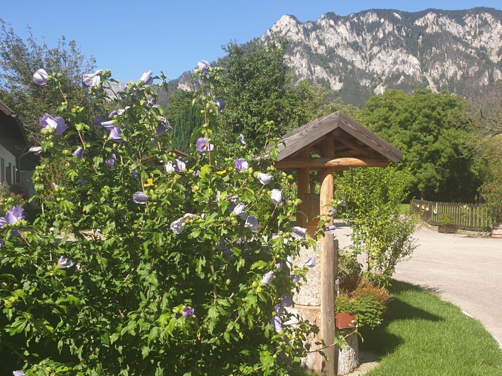 Vila Familie Stoier Reichenau Exteriér fotografie